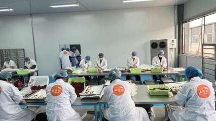 攜手阿里，智造未來 裕鑫博康借力淘工廠加速產業數字化升級