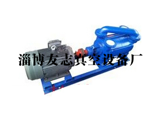 專業(yè)解析 淄博SK水環(huán)真空泵的批發(fā)價格與廠家供應
