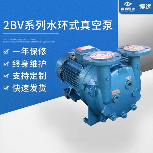 2BV系列不銹鋼水環(huán)式真空泵 現(xiàn)代工業(yè)氣體傳輸?shù)目煽恐x